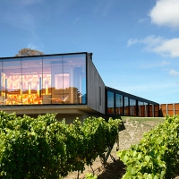 Sauna in viticulture