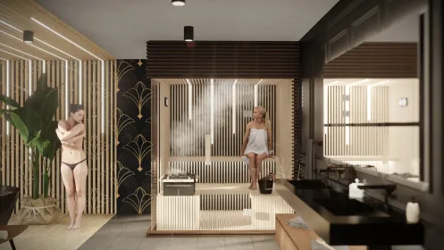 Vision sauna Vision sauna
